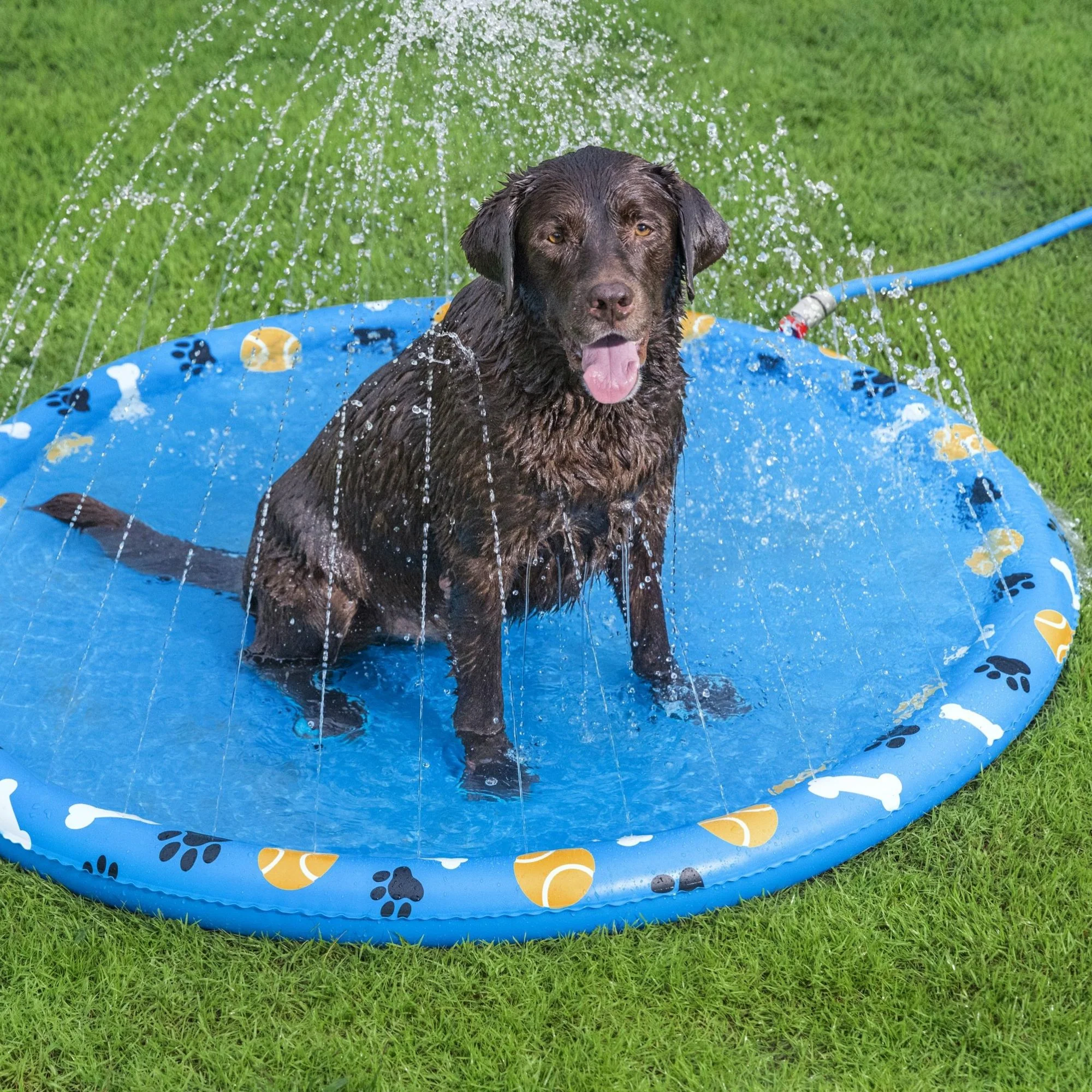 Fetchin' Fun Dog Sprinkler Splash Pad - Image 2