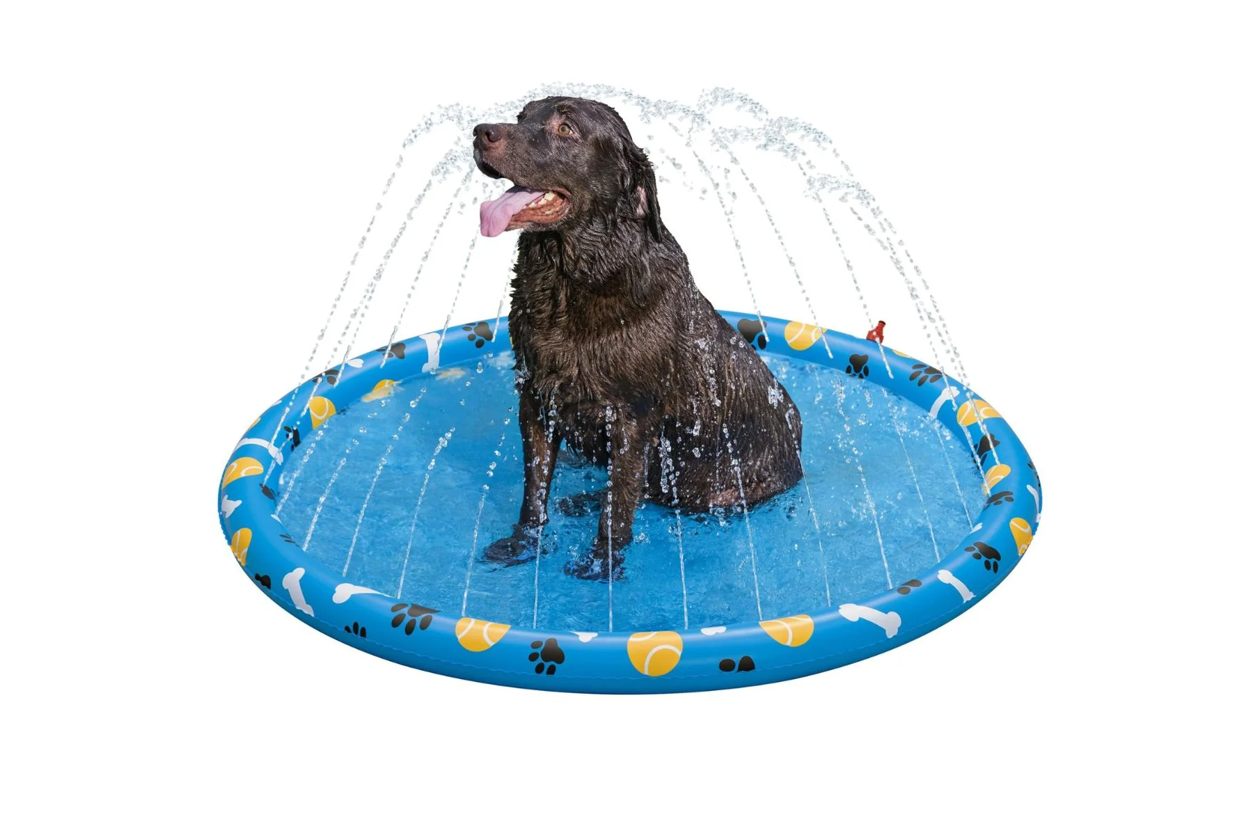 Fetchin' Fun Dog Sprinkler Splash Pad - Image 3